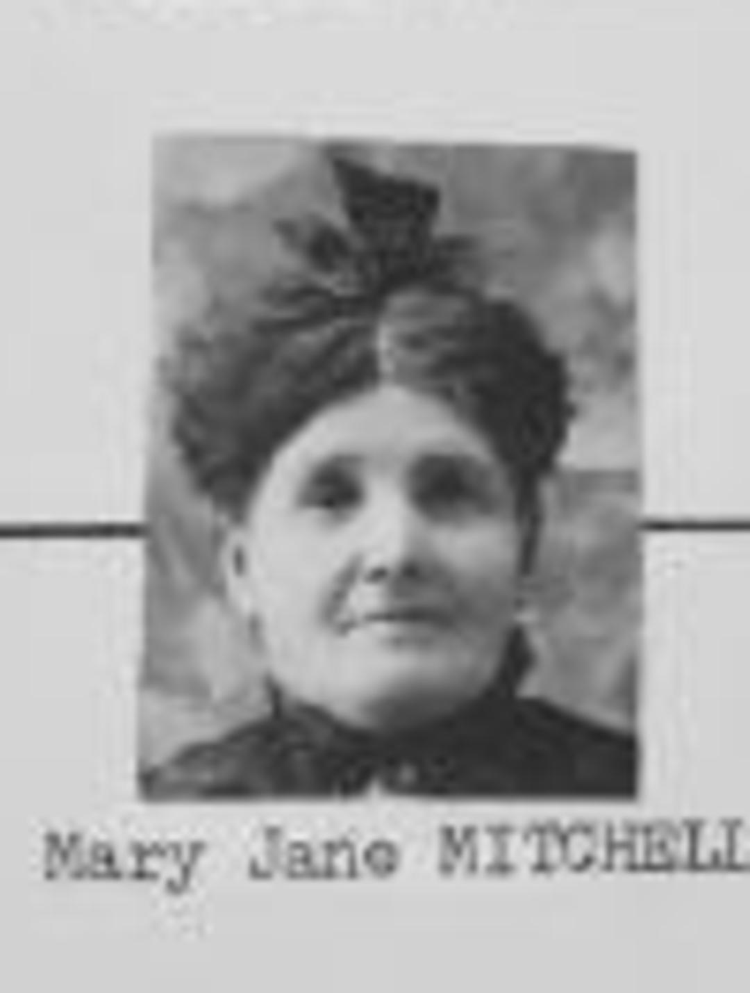 Mary Jane Mitchell (1851 - 1917) Profile